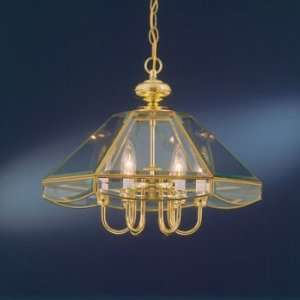  Scalloped Cage Chandelier in Polished Brass