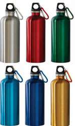 Stainless Steel Water Bottle 20 oz. SILVER Water Bottles 