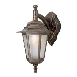  Trans Globe 4056 VG Outdoor Sconce