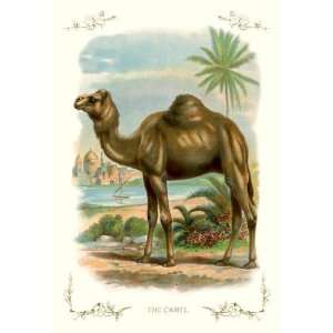  Exclusive By Buyenlarge The Camel 28x42 Giclee on Canvas 