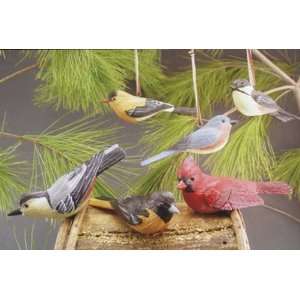    Assorted Backyard Birds Christmas Ornaments
