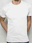 NEW American Apparel Tshirts   You choose size and color   GREAT DEAL