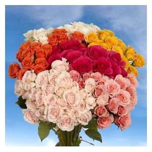 Mothers Day Color Spray Roses 90 Flowers 360 Blooms
