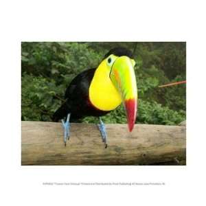    Toucan Face Closeup 10.00 x 8.00 Poster Print