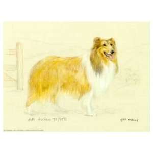 Rough Collie Limited Edition Print and Signed by the Artist Gill Evans