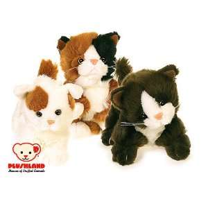  Plushland Fluffy Kittens 8 Toys & Games