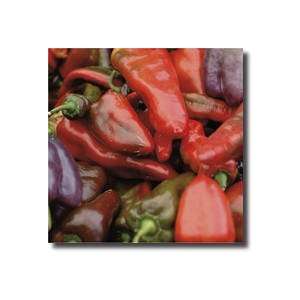 Hot Peppers Limited Edition Print 