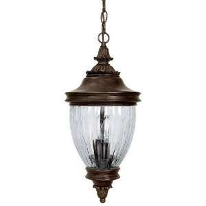  Capital Lighting Outdoor 9767 Outdoor Hanging Lantern 