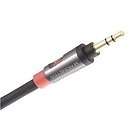   iCable 800  Player to Auxiliary Input Cord (3 Feet) *2 DAY SHIP