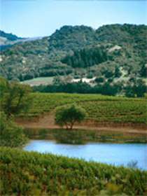 Alexander Valley Vineyards is owned and operated by the Harry Wetzel 