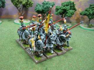Warhammer DPS painted Empire Knightly Orders EM040  