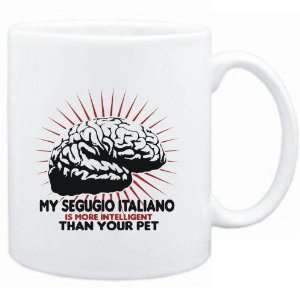   Segugio Italiano IS MORE INTELLIGENT THAN YOUR PET   Dogs Sports
