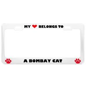 Bombay Cat Pet White Metal License Plate Frame Tag Holder