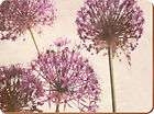 NEW Set of 6 PURPLE ALLIUM Cork Back Placemats TABLE MATS By Creative 