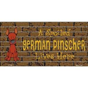 Spoiled German Pinscher Dog Lives Here  Pet Novelty License Plate 