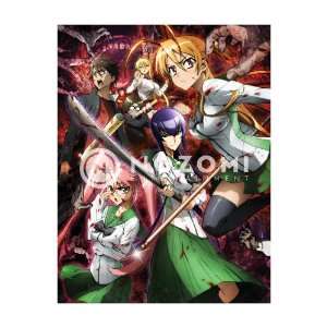  Highschool of the Dead Lithograph