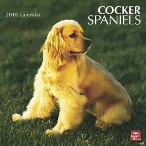  Cocker Spaniels 2010 Wall Calendar