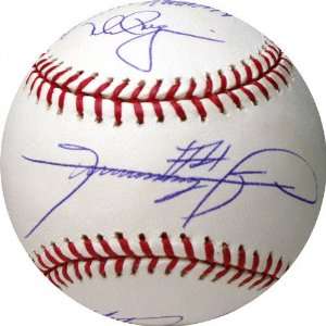  500 Home Run Hitters Autographed MLB Baseball with 8 
