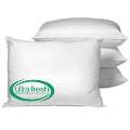 Allergy Free Anti microbial Pillows with Ultra Fresh (Set of 4 
