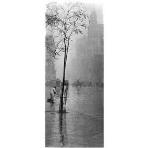  Spring showers,New York,NY,Sanitation Worker,Sweeping 
