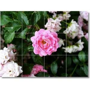   Picture Mural Tile F216  18x24 using (12) 6x6 tiles