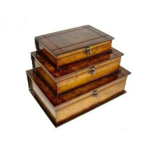  Wooden Book Boxes with Brown Tones   Set of 3 (Brown Tones 