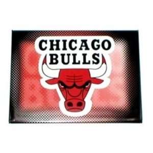  Chicago Bulls NBA Magnet Case Pack 72