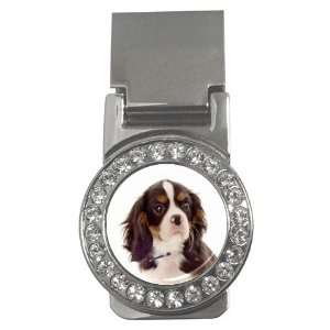  king charles spaniel pup 8 Money Clip CZ W0711 Everything 