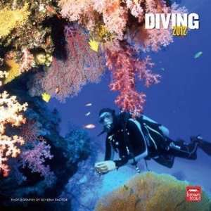  Diving 2012 Wall Calendar 12 X 12
