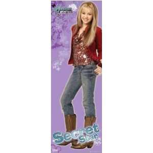  Hannah Montana   TV Show Door Poster (Miley Cyrus)(Size 
