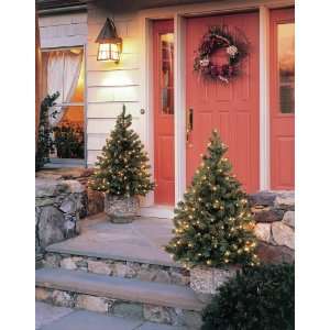   Foot Sierra Stake Tree with 150 Clear Mini Lights