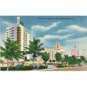 1950s Vintage Postcard Hotel Row on Collins Avenue Miami Beach Florida