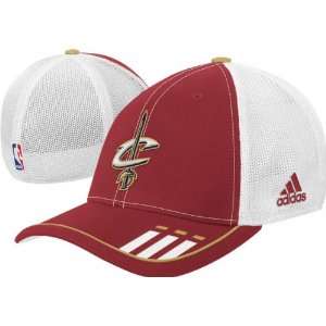 Cleveland Cavaliers 2009 2010 Official Team Flex Fit Hat  