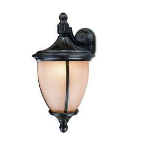 Dolan Designs 9153 114 Huntsville 1 Light Outdoor Wall Lighting in 