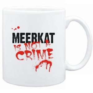    Being a  Meerkat is not a crime  Animals