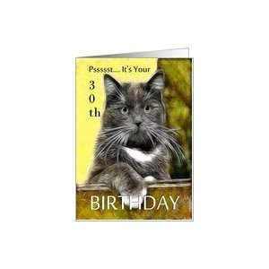    Birthday ~ Age Specific 30th ~ Cat in a box Card Toys & Games