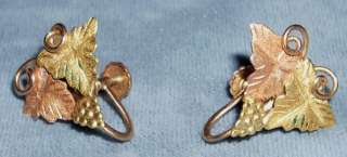   Vintage Pair of 10K Black Hills Gold Earrings with screw on backs