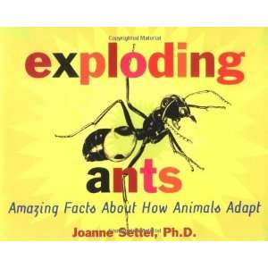  Exploding Ants Amazing Facts About How Animals Adapt 