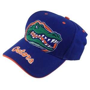  Florida Gators Royal Blue Beast Adjustable Hat