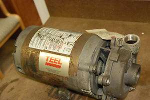 Teel 1303007123, Pump, 1 1/4 inlet x 1 discharge, SS, 1 1/2 hp, 3ph 