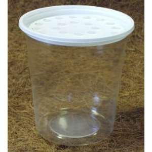  32 oz. Disposable Fruit Fly Container   10 pack Kitchen 