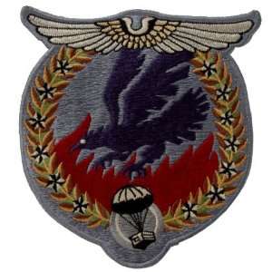  67th Troop Carrier Squadron Patch 