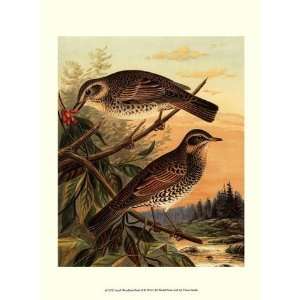  Small Woodland Birds II Poster by Vision studio (9.50 x 13 