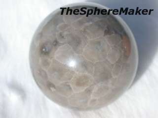 Siaz PETOSKEY STONE SPHERE FOSSIL CORAL BALL DECORATIVE GR8 GIFT 1.96 