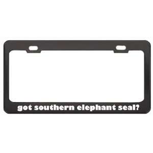 Got Southern Elephant Seal? Animals Pets Black Metal License Plate 