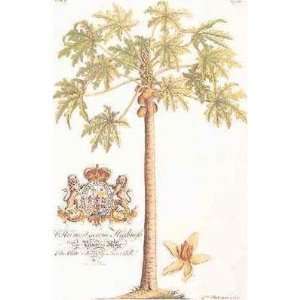  Papaya Tree Poster Print