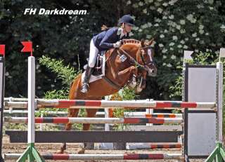 Deutsches Reitpony,Deckhengst, 1.Reserve Körung Prussendorf 2009 in 