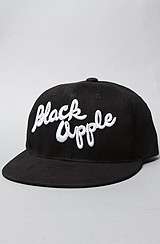 Black Apple The Roosevelt Snapback Hat in Black  Karmaloop 