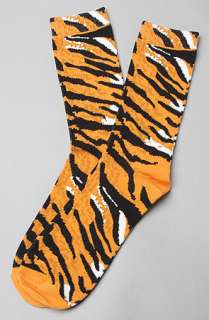 Play Cloths The Wild Pack Socks in Tiger Stripe  Karmaloop 