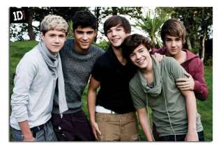 One Direction In Garden Large Wall Poster New  